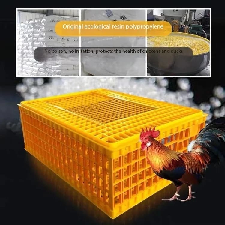 New Condition Manure Belt for Chicken & Duck Farms Chicken Layer Cages Packaging & Printing Product