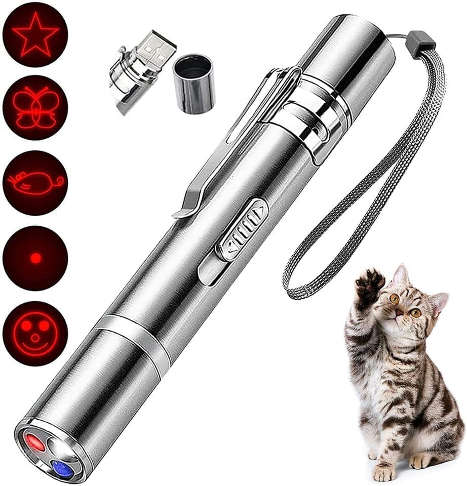 Toys Chaser Laser Pen 