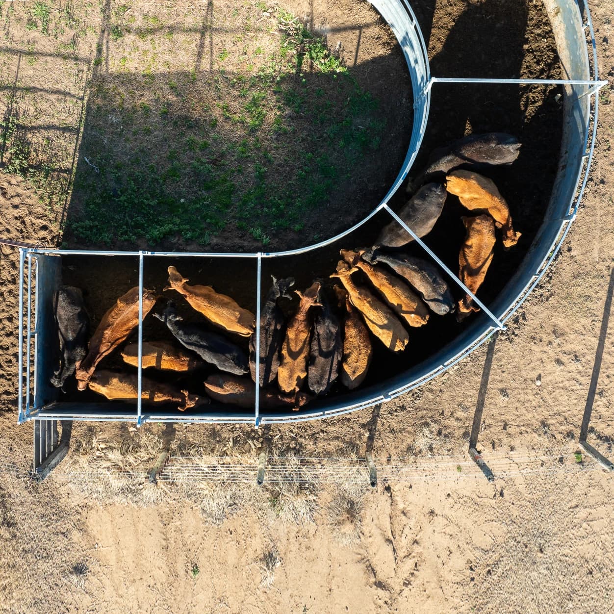 Hot Selling Galvanized Stock Panel Livestock Feedlot Cattle Hog Wire Panel