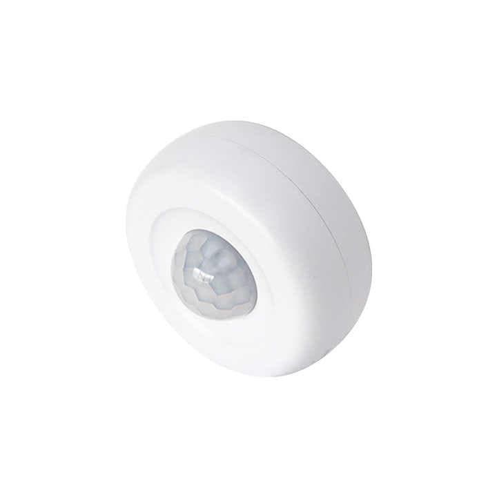 Tasmota Wireless PIR Motion Sensor Alarm