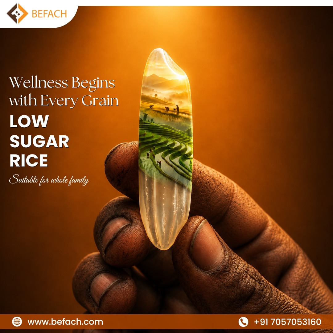 Every grain considered — high amylose, slow-release starch